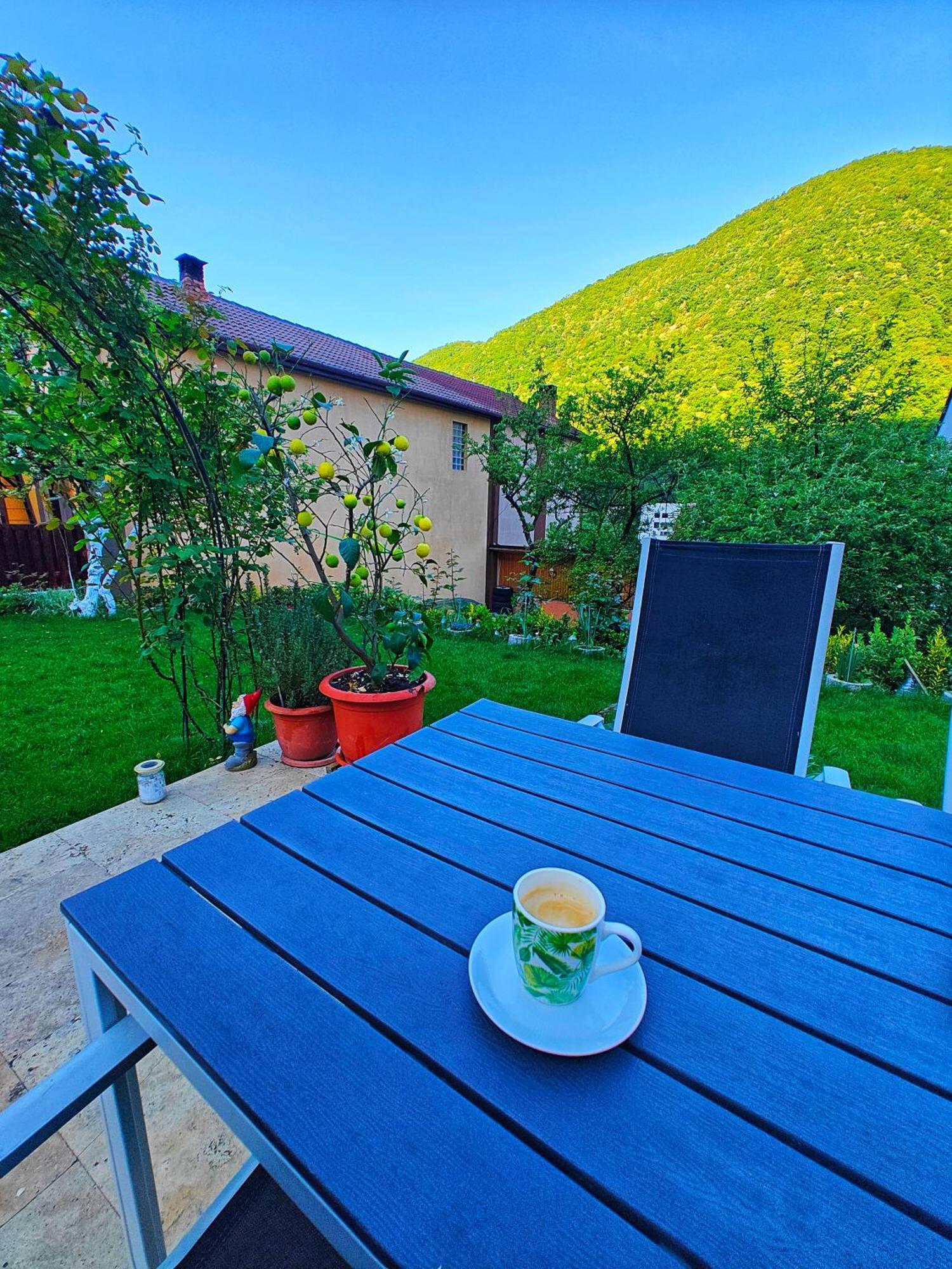 Casa Miclau Apartman Herkulesfürdő Kültér fotó
