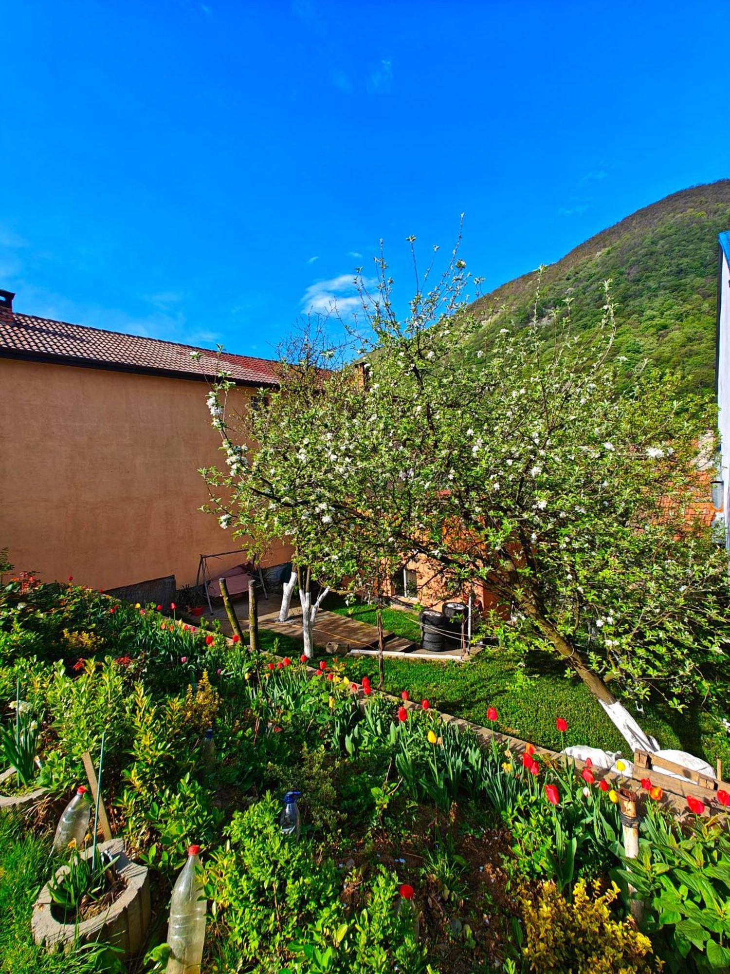 Casa Miclau Apartman Herkulesfürdő Kültér fotó