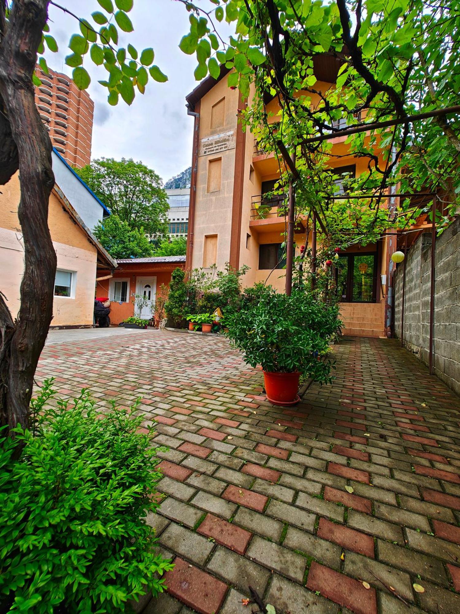 Casa Miclau Apartman Herkulesfürdő Kültér fotó