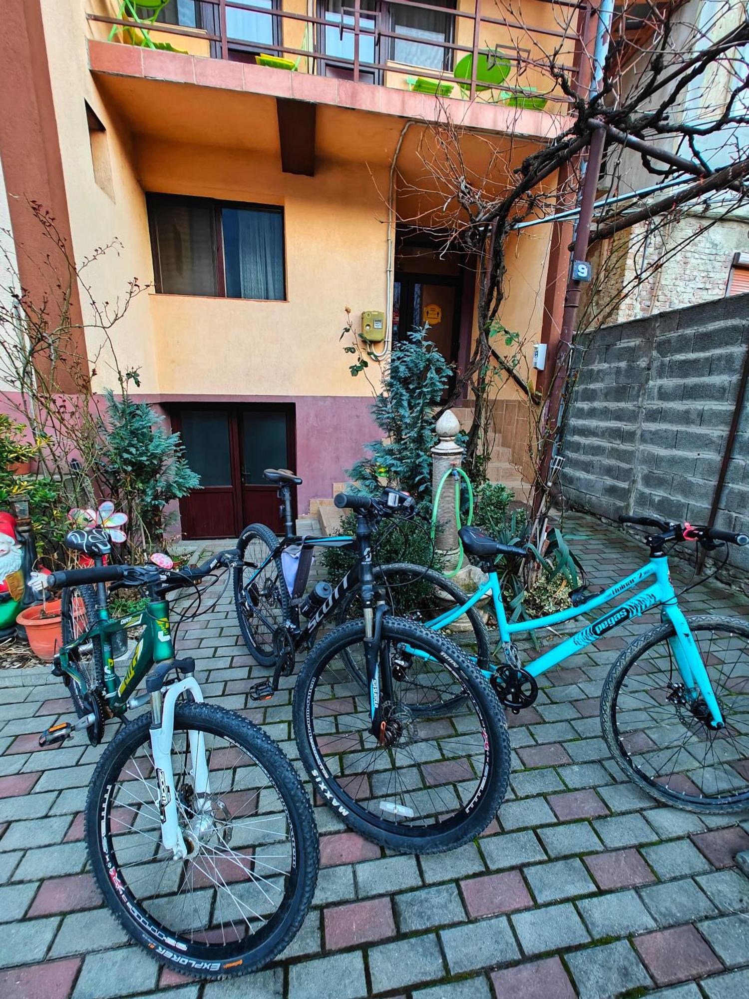 Casa Miclau Apartman Herkulesfürdő Kültér fotó