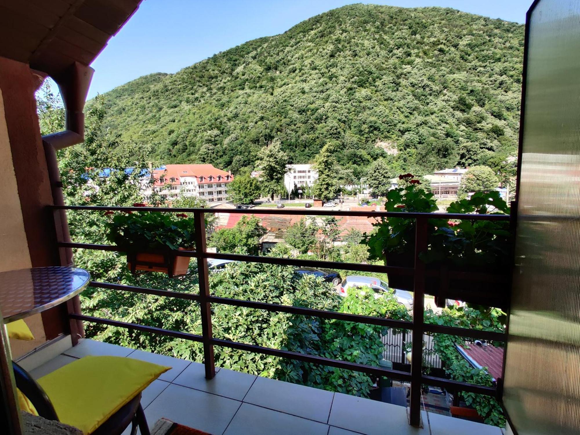 Casa Miclau Apartman Herkulesfürdő Szoba fotó